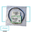 Banda de Transmision Mp8001/6001 (OEM)