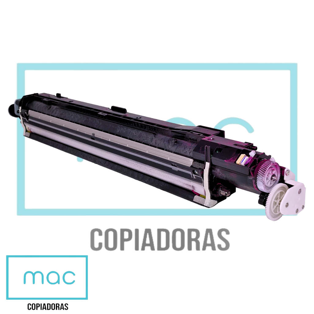 Unidad de Revelado Magenta Ricoh MP-C4504/6004/501 (OEM)